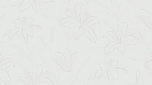 Graphic Lily  5324
